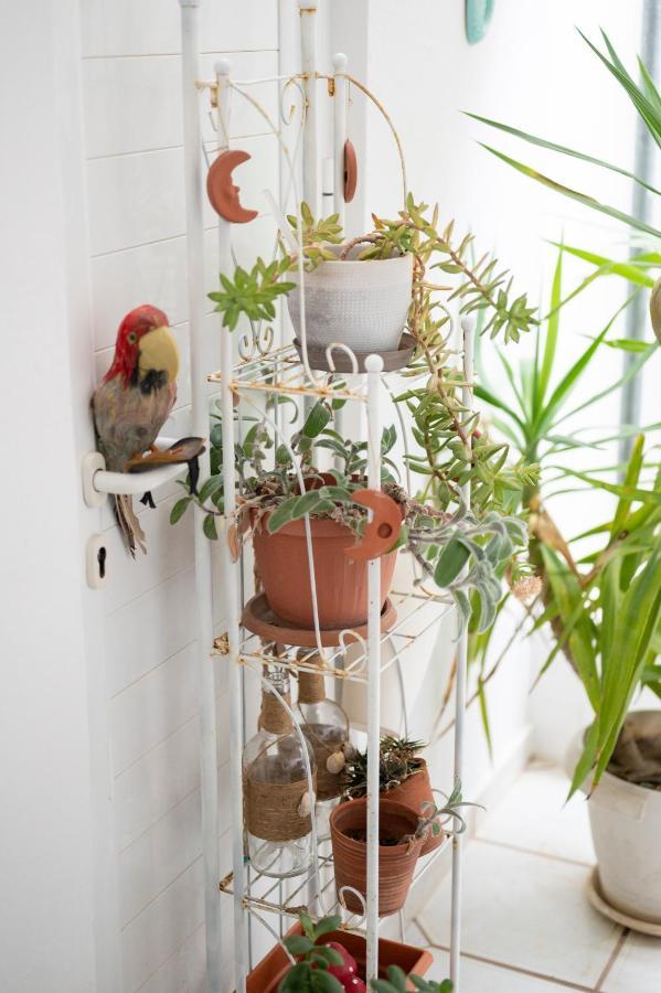 Mk Apartament